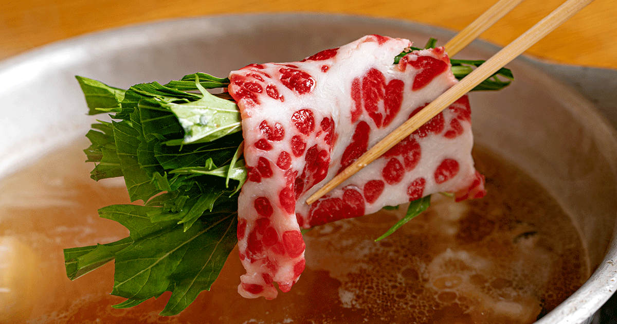 旬菜旬魚一品料理 どおぞの
